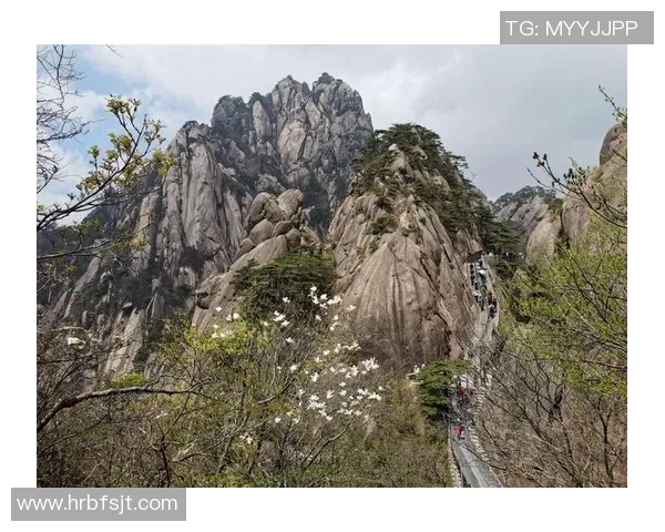 足球明星签名全景展示珍藏版图片集让你一睹风采与荣耀