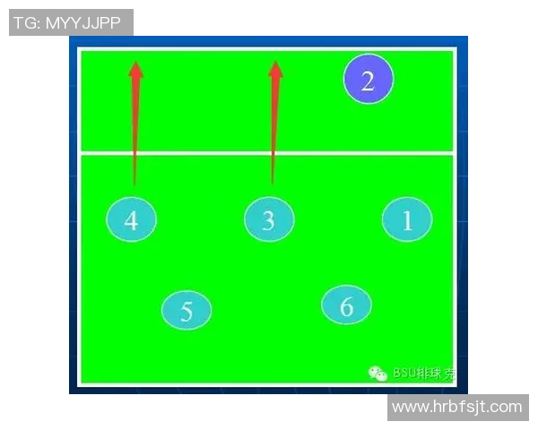 南京排球队战术实力强劲荣登全国第七名引发关注