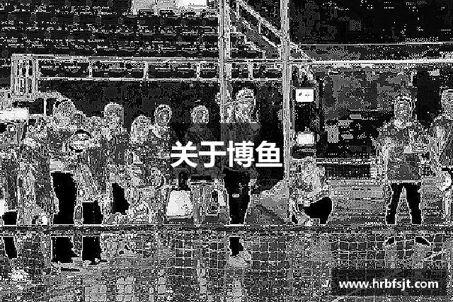 关于博鱼
